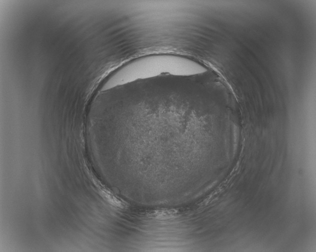 X0000056330345200509232019