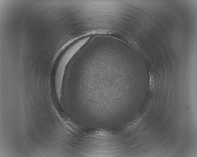 X0000056330348200509232019