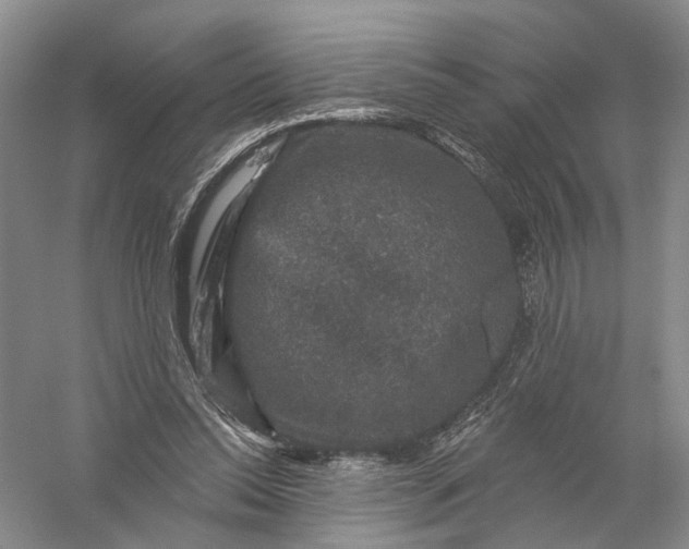 X0000056330350200509232019