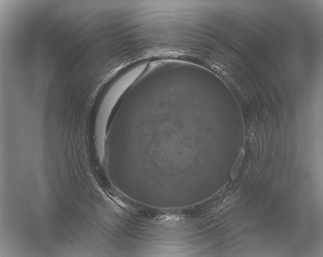 X0000056330352200509232019