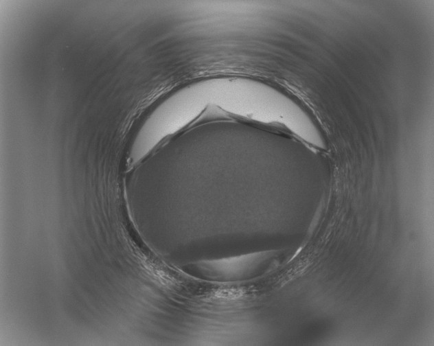 X0000056330353200509232019