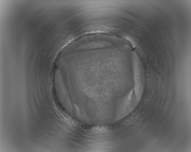 X0000056330354200509232019