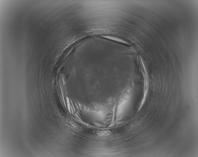 X0000056330355200509232019