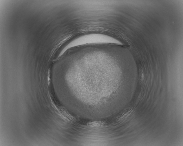 X0000056330356200509232019