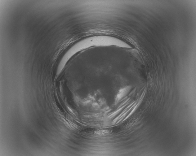 X0000056330357200509232019