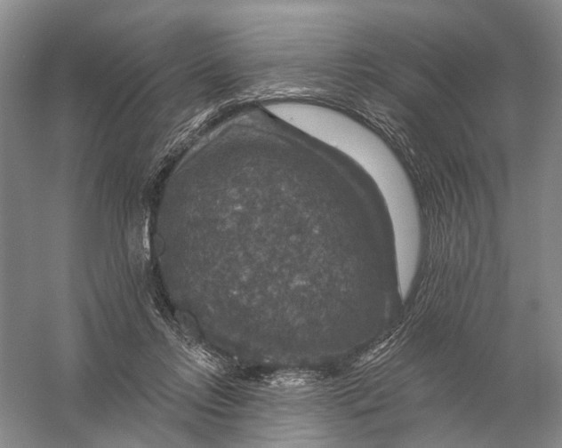 X0000056330358200509232019