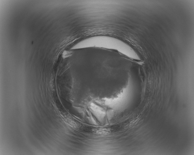 X0000056330359200509232019