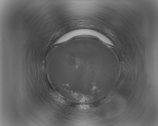 X0000056330361200509232019