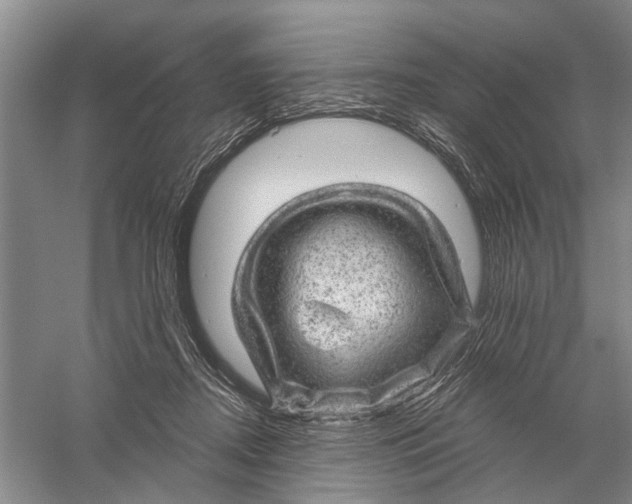 X0000056330362200509232019