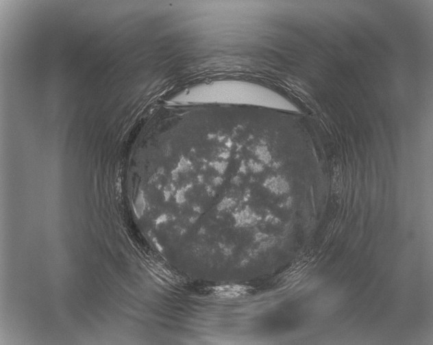 X0000056330363200509232019