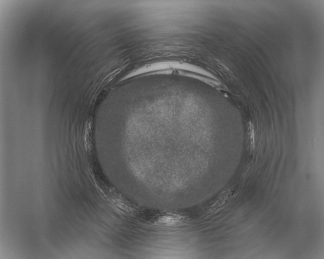 X0000056330364200509232019