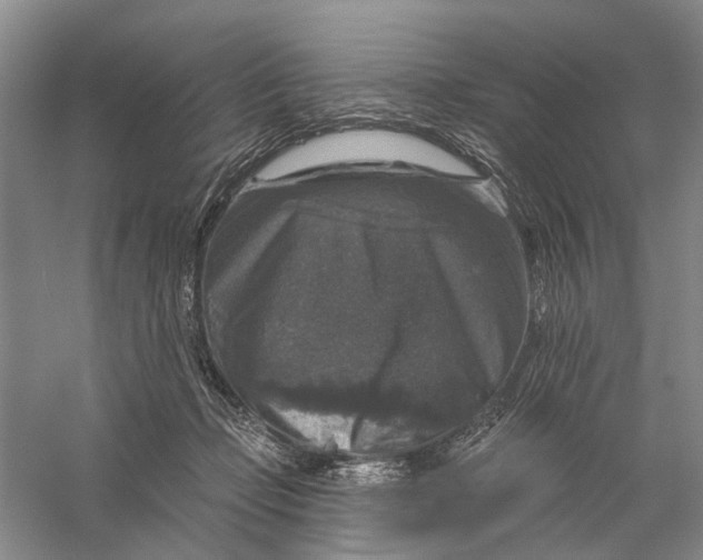 X0000056330365200509232019