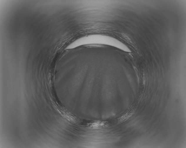 X0000056330366200509232019