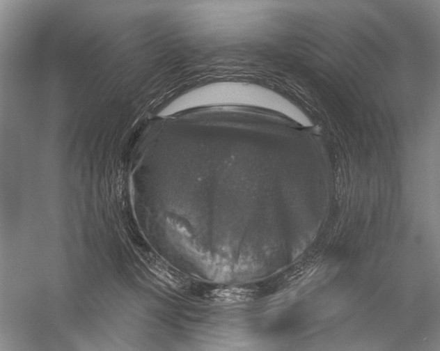 X0000056330367200509232019