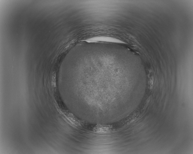 X0000056330368200509232019