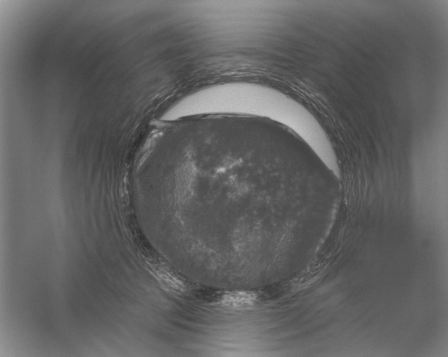 X0000056330369200509232019