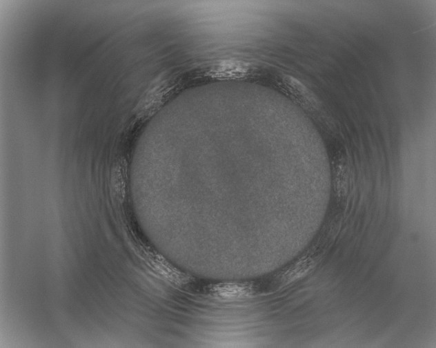 X0000056330370200509232019