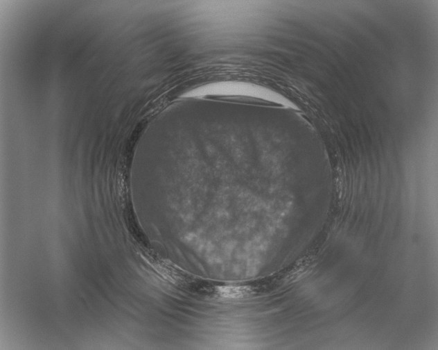 X0000056330371200509232019