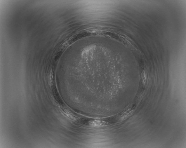 X0000056330372200509232019