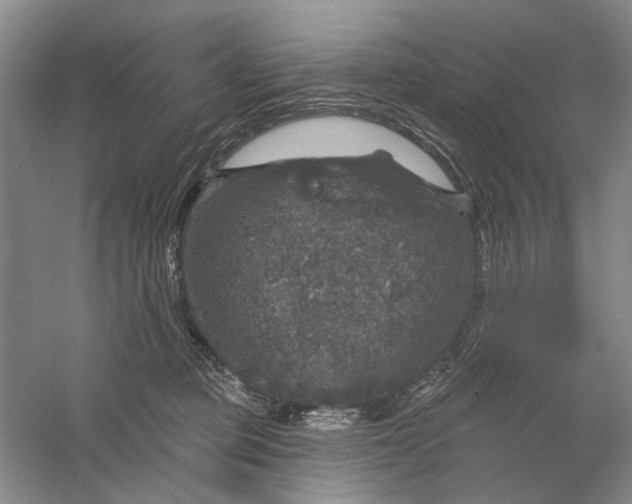 X0000056330373200509232019