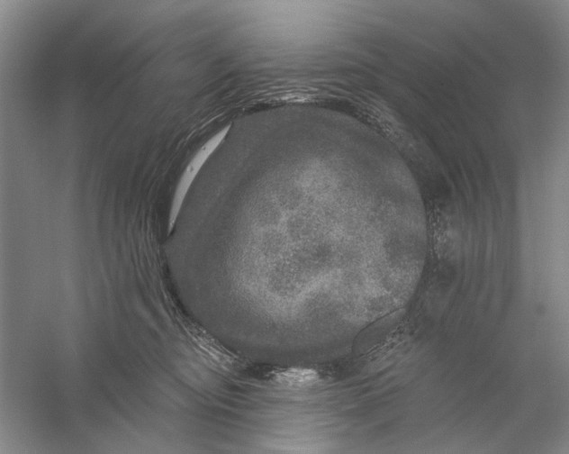 X0000056330374200509232019