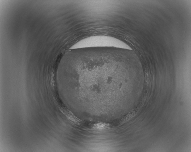 X0000056330375200509232019