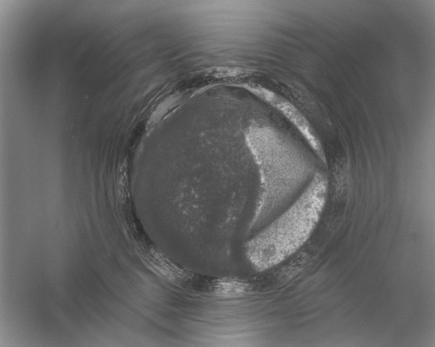 X0000056330376200509232019