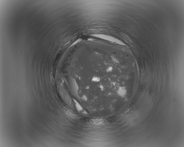 X0000056330377200509232019