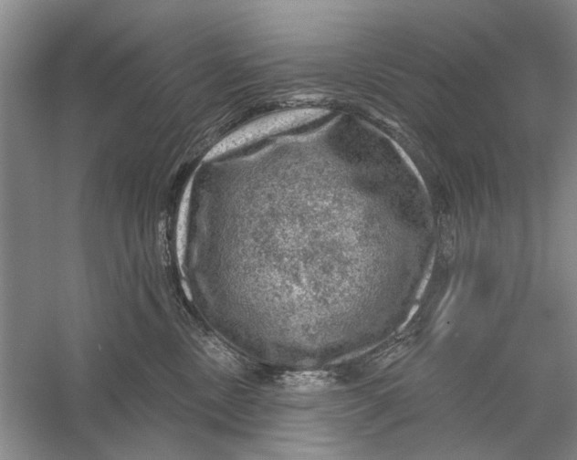 X0000056330378200509232019