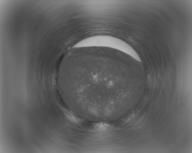 X0000056330379200509232019