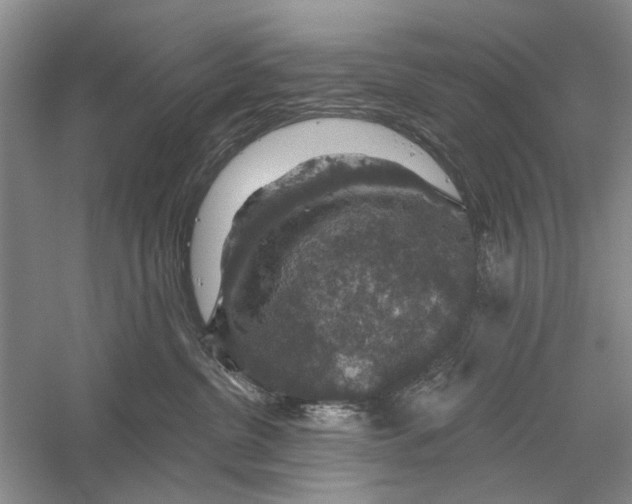 X0000056330380200509232019