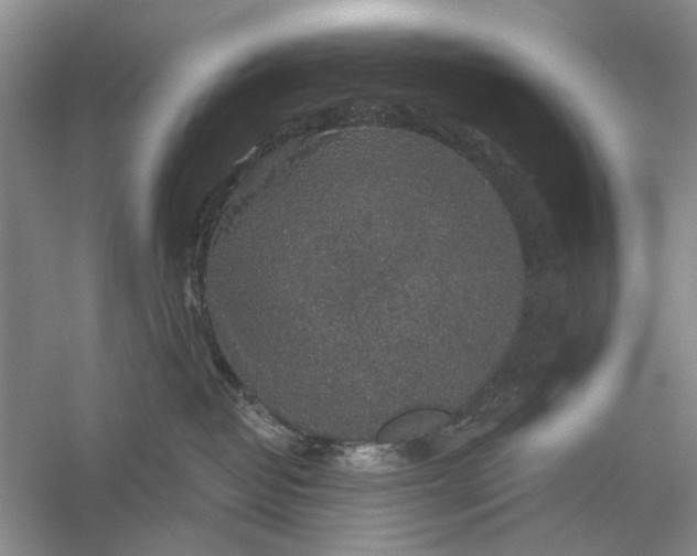 X0000056330382200509232019