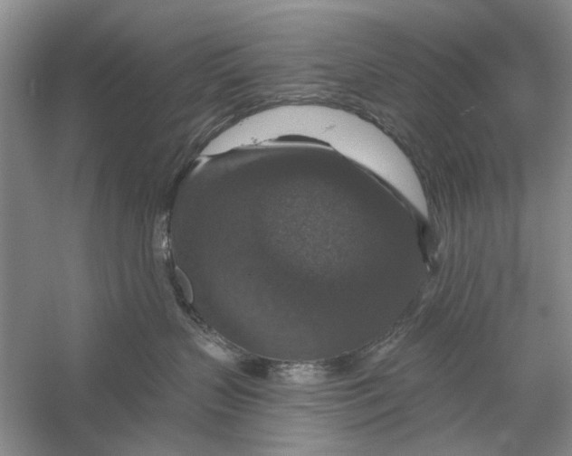 X0000056330383200509232019