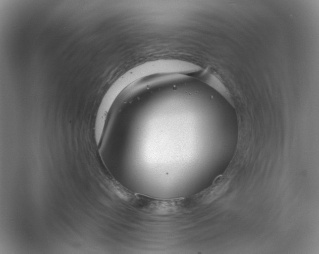 X0000056330384200509232019