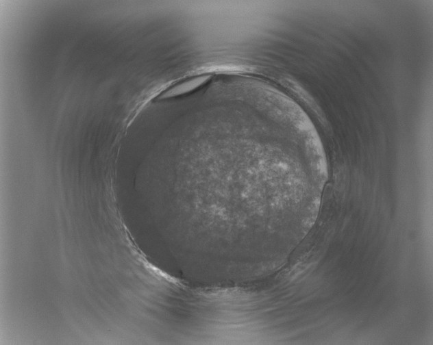 X0000056330385200509232018