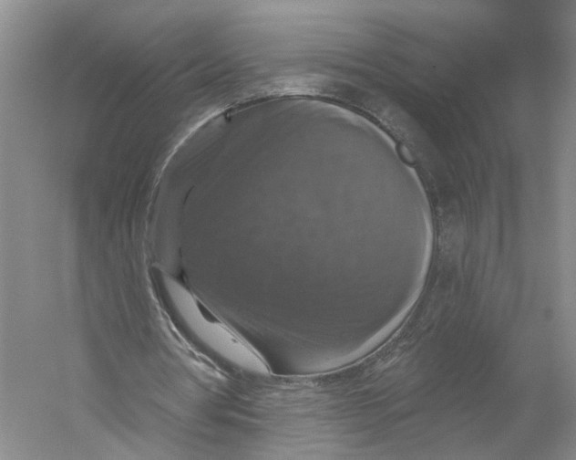 X0000056330386200509232018