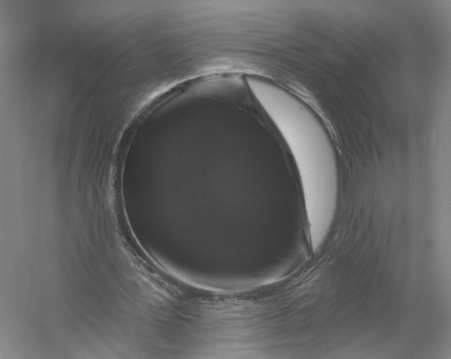 X0000056330387200509232018