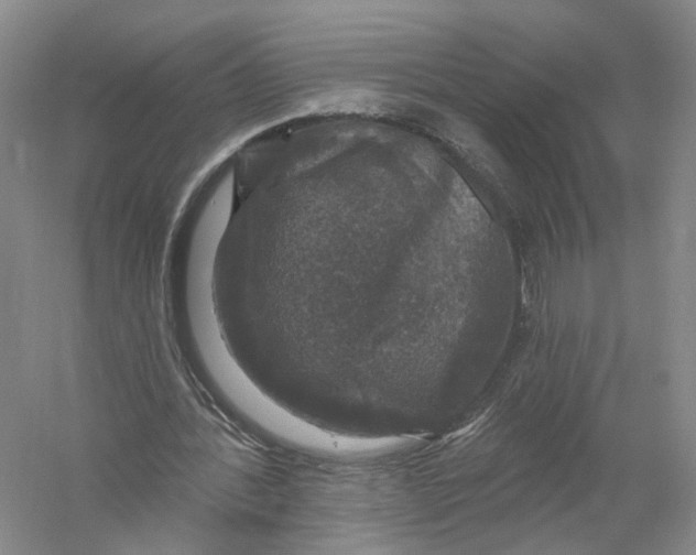 X0000056330388200509232018