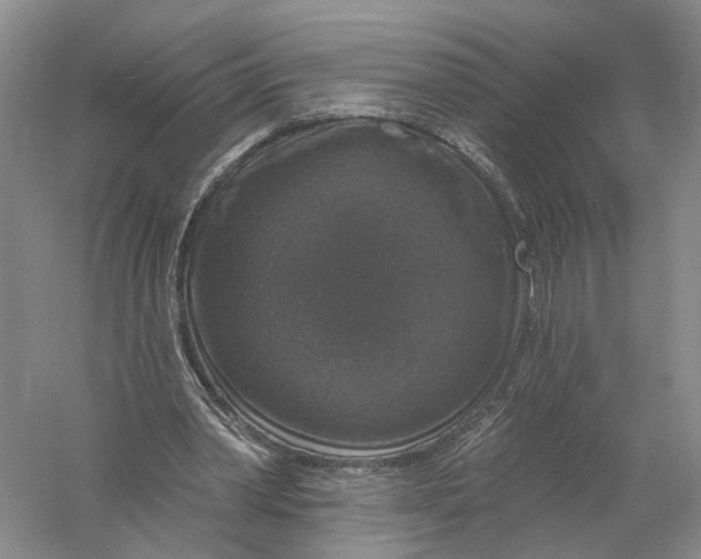 X0000056330390200509232018