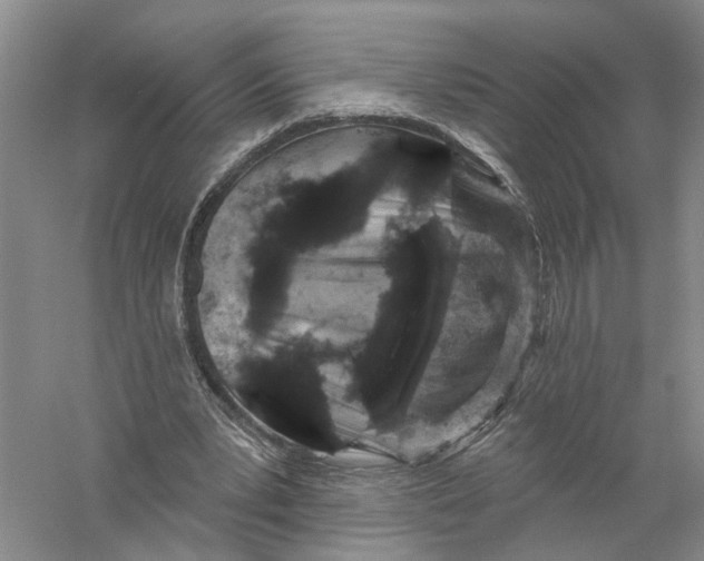 X0000056330391200509232018