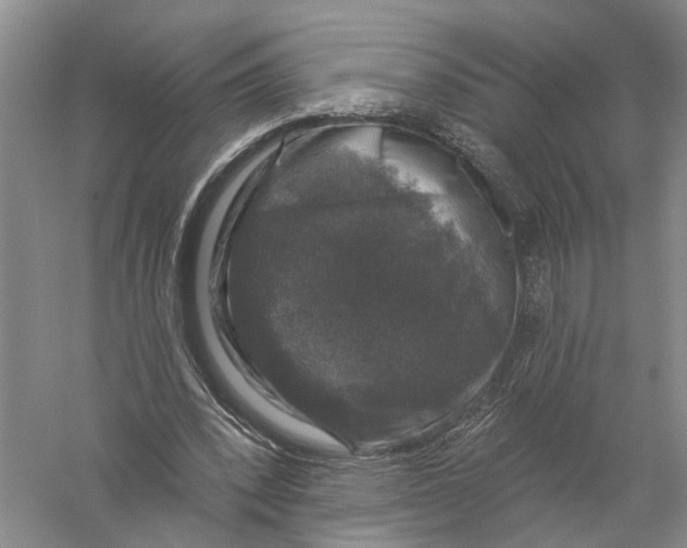 X0000056330392200509232018