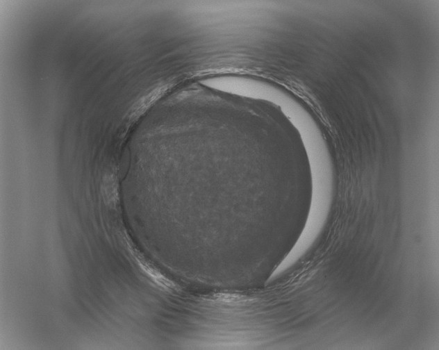 X0000056330393200509232018