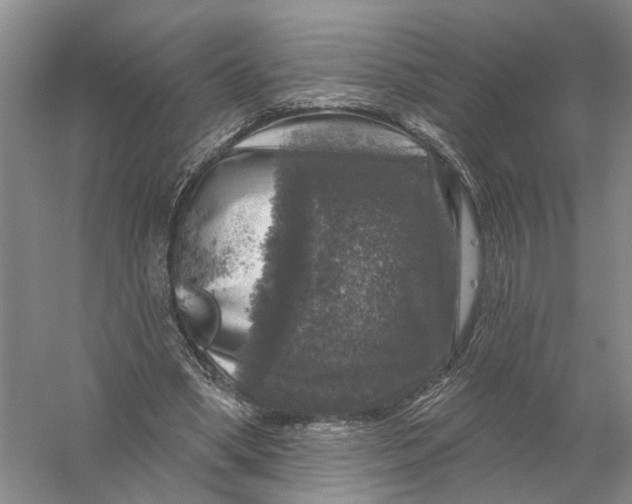 X0000056330394200509232018