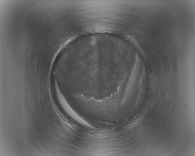 X0000056330395200509232018