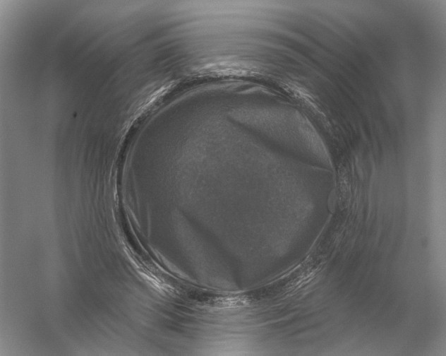 X0000056330398200509232018