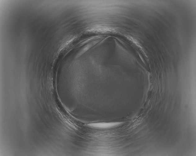 X0000056330399200509232018