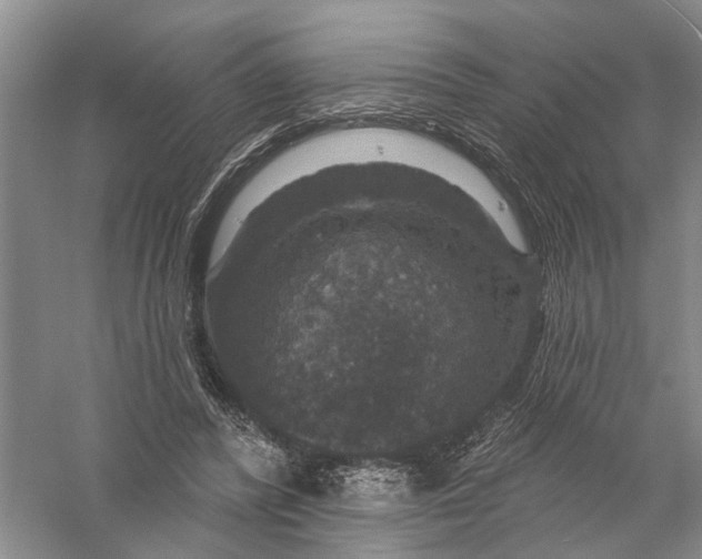 X0000056330400200509232018