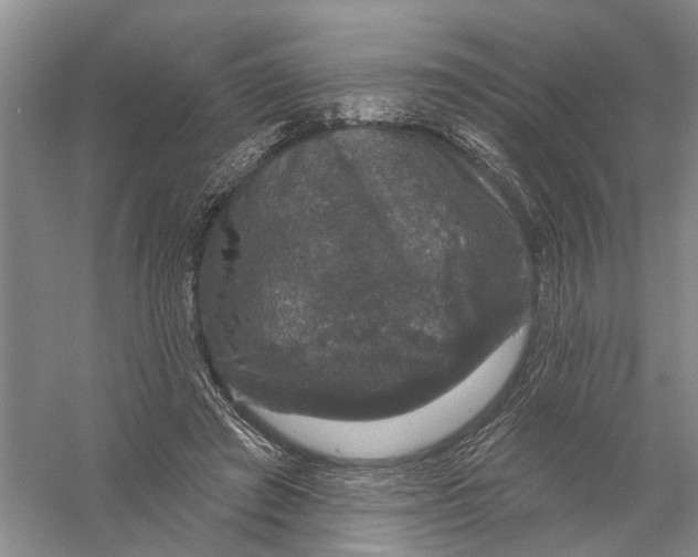 X0000056330401200509232018