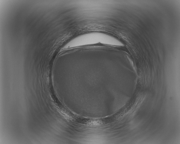 X0000056330402200509232018