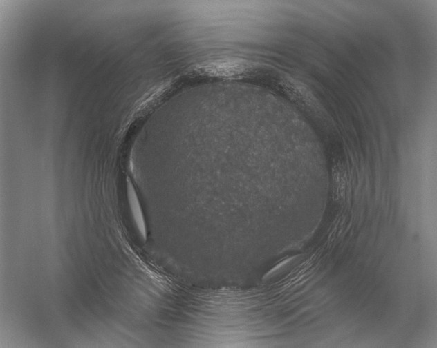 X0000056330404200509232018